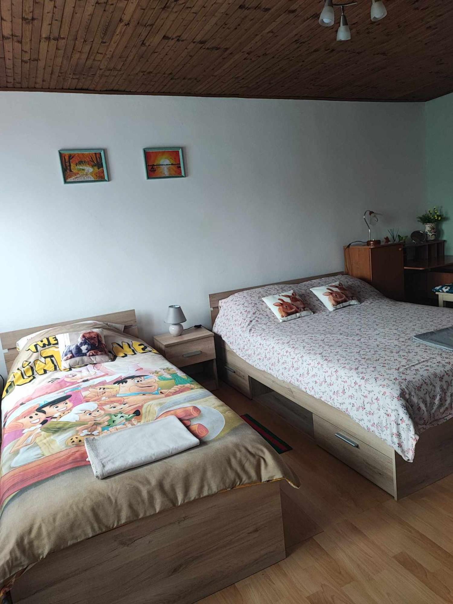 Apartman 1 Ribic Apartment Ogulin Luaran gambar